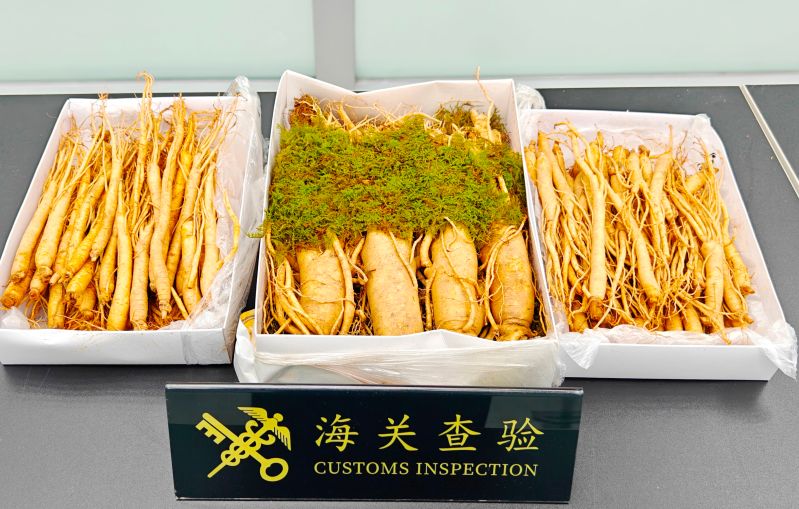 “中國(guó)制造”超大設(shè)備起航“冰上絲綢之路”（圖）